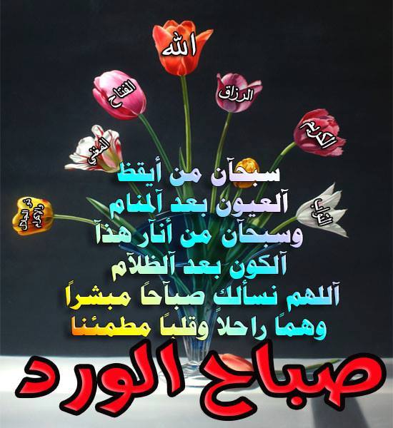 صباح الورد