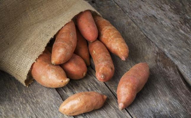 فوائد البطاطا الحلوة على الصحة