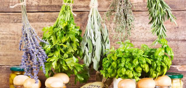 اعشاب تخسيس الارداف