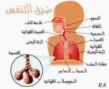 علاج سحري لضيق التنفس
