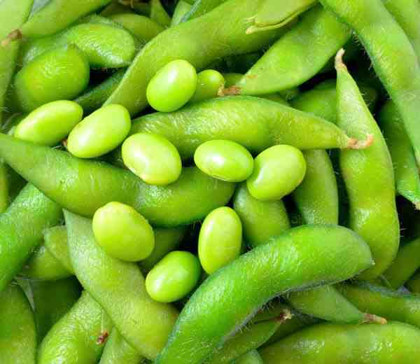 هذا الطعام يجنَب المراهقات خطر الإصابة بسرطان الثدي