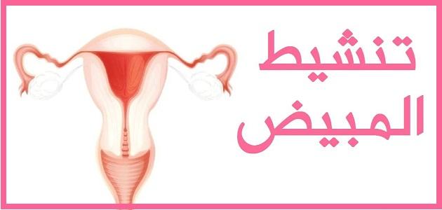 وصفات لتنشيط المبايض