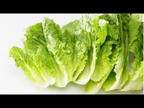 فوائد الخس للحامل للشعر