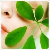 خلطة السدر لتفتيح الجسم سريعاً