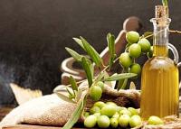رجيم زيت الزيتون