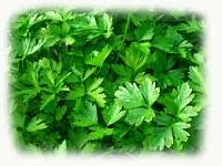 وصفات رائعة من البقدونس لبشرتك