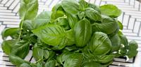 فائده صحية وجمالية للريحان