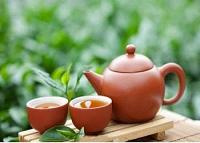 شاي البقدونس او شاى الزعتر البري للتنحيف