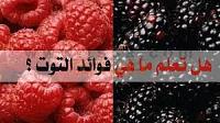 هل تعلمين ما هي فوائد التوت للشعر والبشرة؟