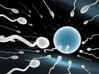 تجمد الحيوانات المنوية، ماحلها؟