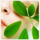 خلطة السدر لتفتيح الجسم سريعاً