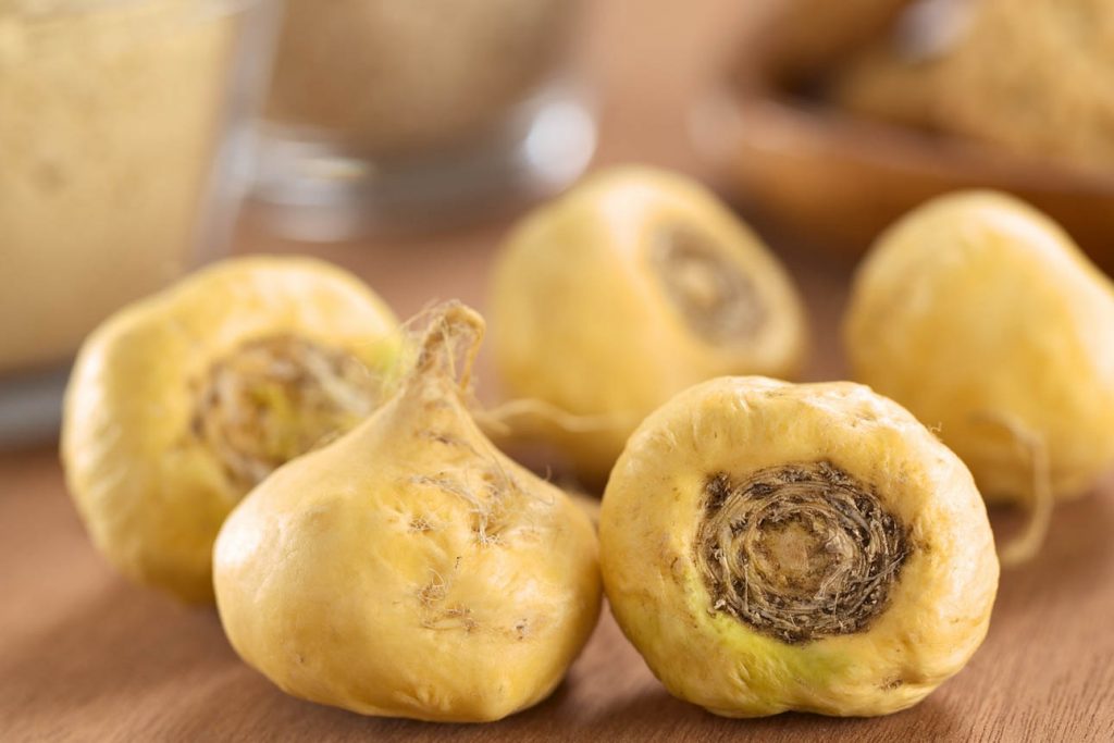 Fresh maca roots or Peruvian ginseng (lat. Lepidium meyenii) which are popular in Peru for their various health effects (Selective Focus Focus on the maca roots in the front)