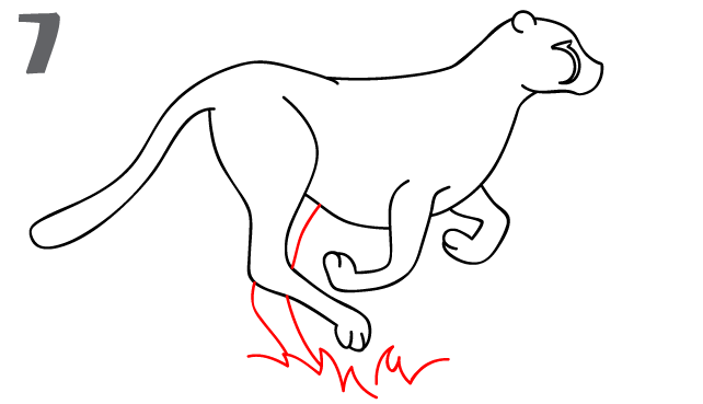 howtodrawacheetah