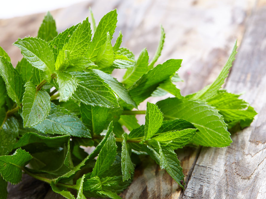 peppermint-health-benefits_0