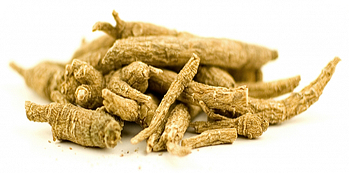 siberian-ginseng-root