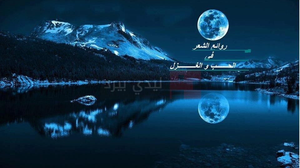 الشعر العربي في العشق