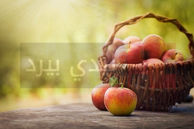 apples-in-basket-opt