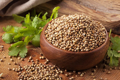 coriander-seeds-leaves-opt