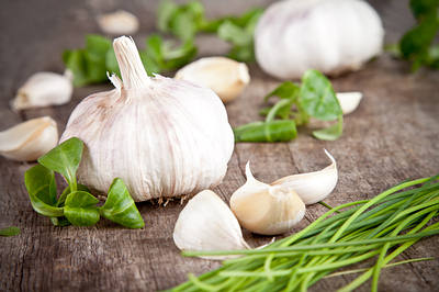 garlic-fresh-opt