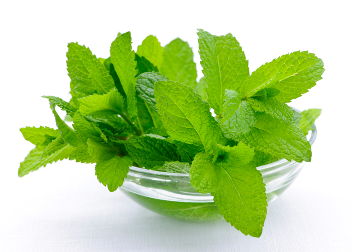 Mint sprigs in bowl