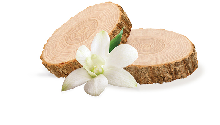 bali sandalwood and vanilla