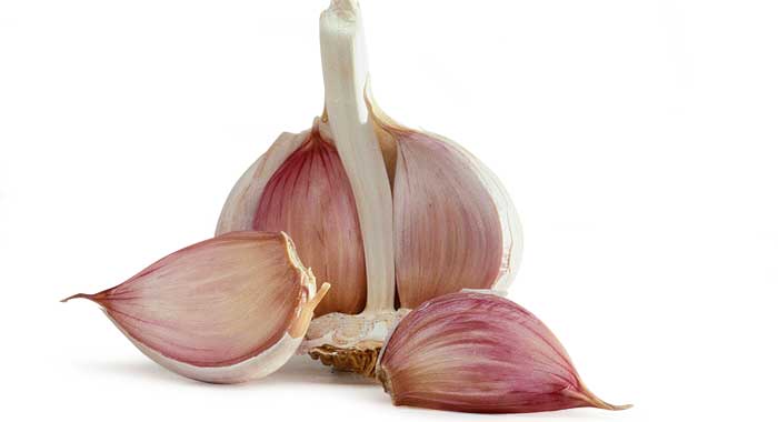 garlic