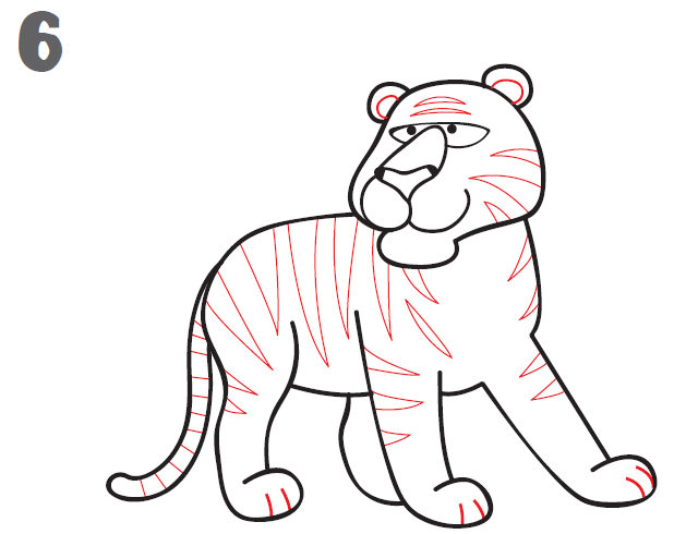 how to draw a tiger