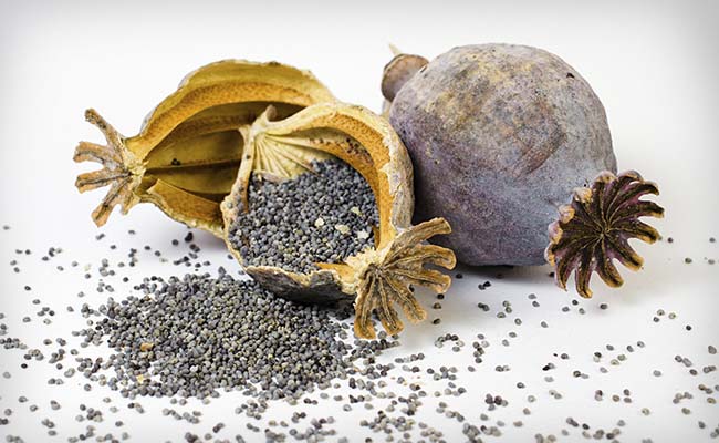 poppy-seeds-generic_650x400_41460458394