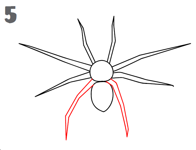 spider-step5