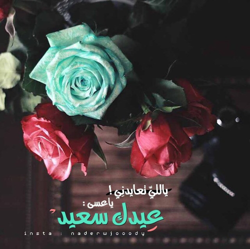 صور معايدات عيد الفطر