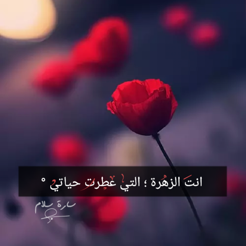 احلى الصور الحب