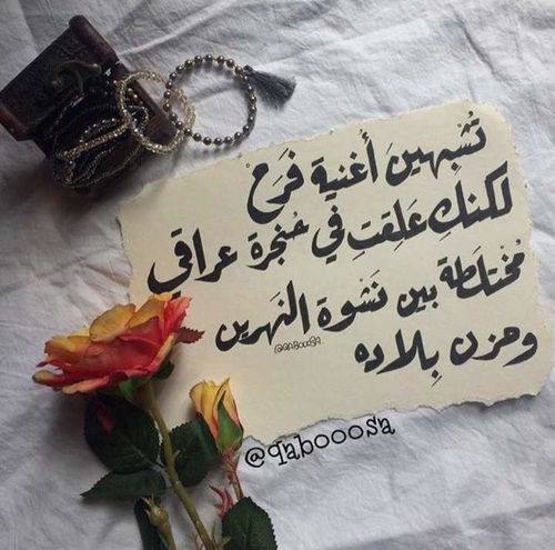 صور كلمات مكتوبة في حب العراق