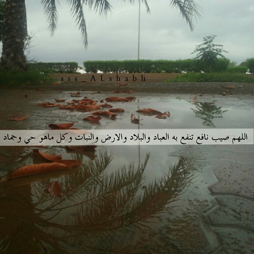 ادعية المطر