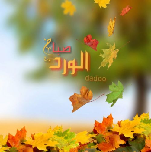 اروع صور صباح الورد