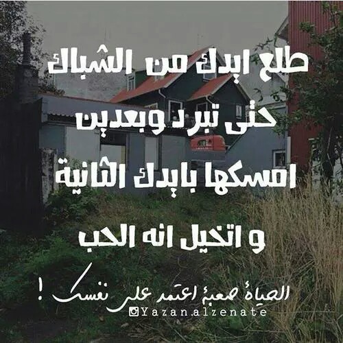 صور حب وبرد