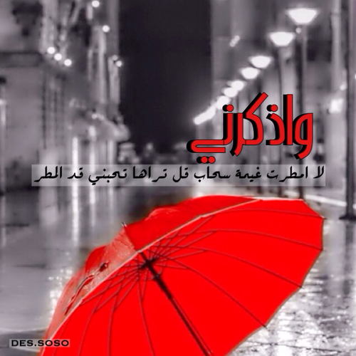 صور شعر امطار