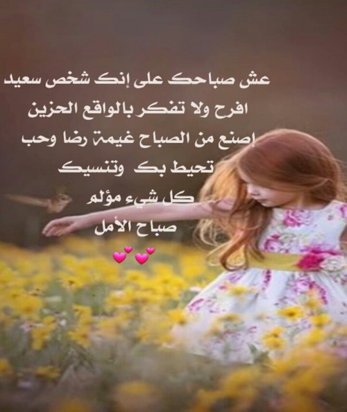 صور صباحية