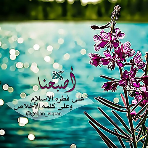 صور صباحية اسلام