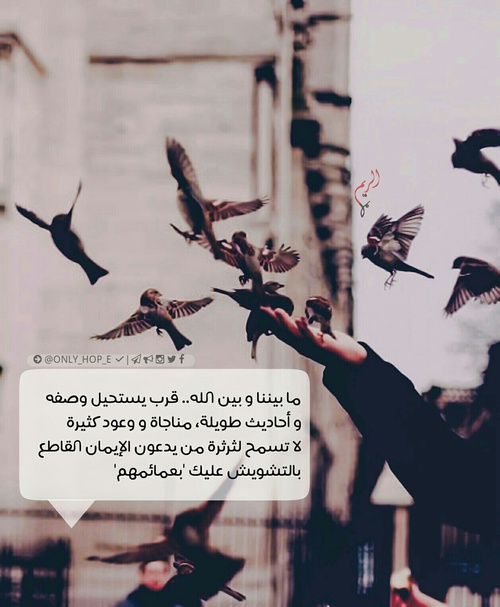 صور كلمات رائعه