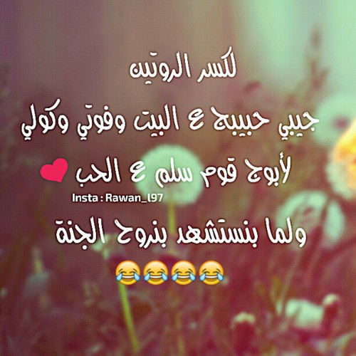 كلام مضحك حب