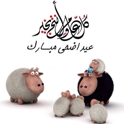 خروف العيد