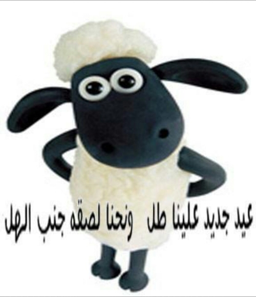 صور مكتوبة خروف العيد