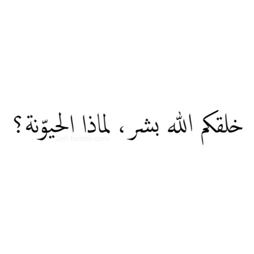 %d8%b5%d9%88%d8%b1-%d9%88%d8%a7%d8%aa%d8%b3-%d8%a7%d8%a8-%d9%85%d8%b6%d8%ad%d9%83%d8%a9