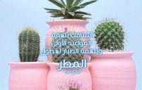 رسائل شوق ولهفه