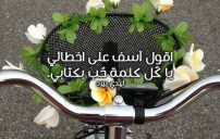 شعر اعتذار