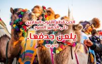 ابيات شعر غزل بدوي