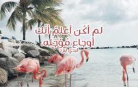 اقوى كلام حب حزين