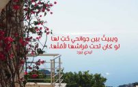 شعر غزل فصيح