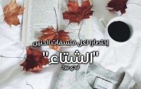 حالات عن الشتاء