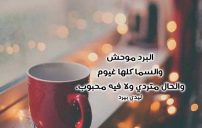 رسائل عن البرد